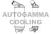 AUTOGAMMA 105677 Intercooler, charger